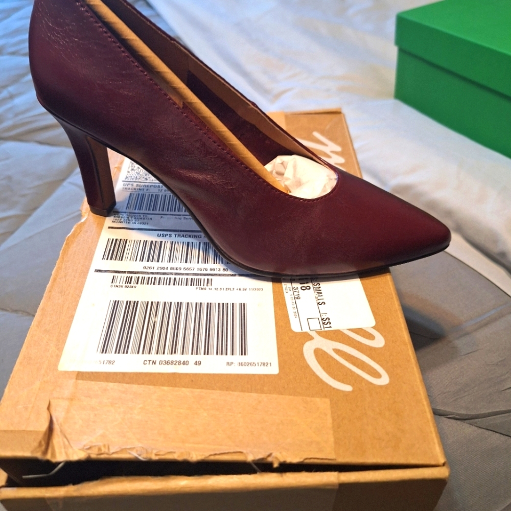 Madewell Burgundy Heels